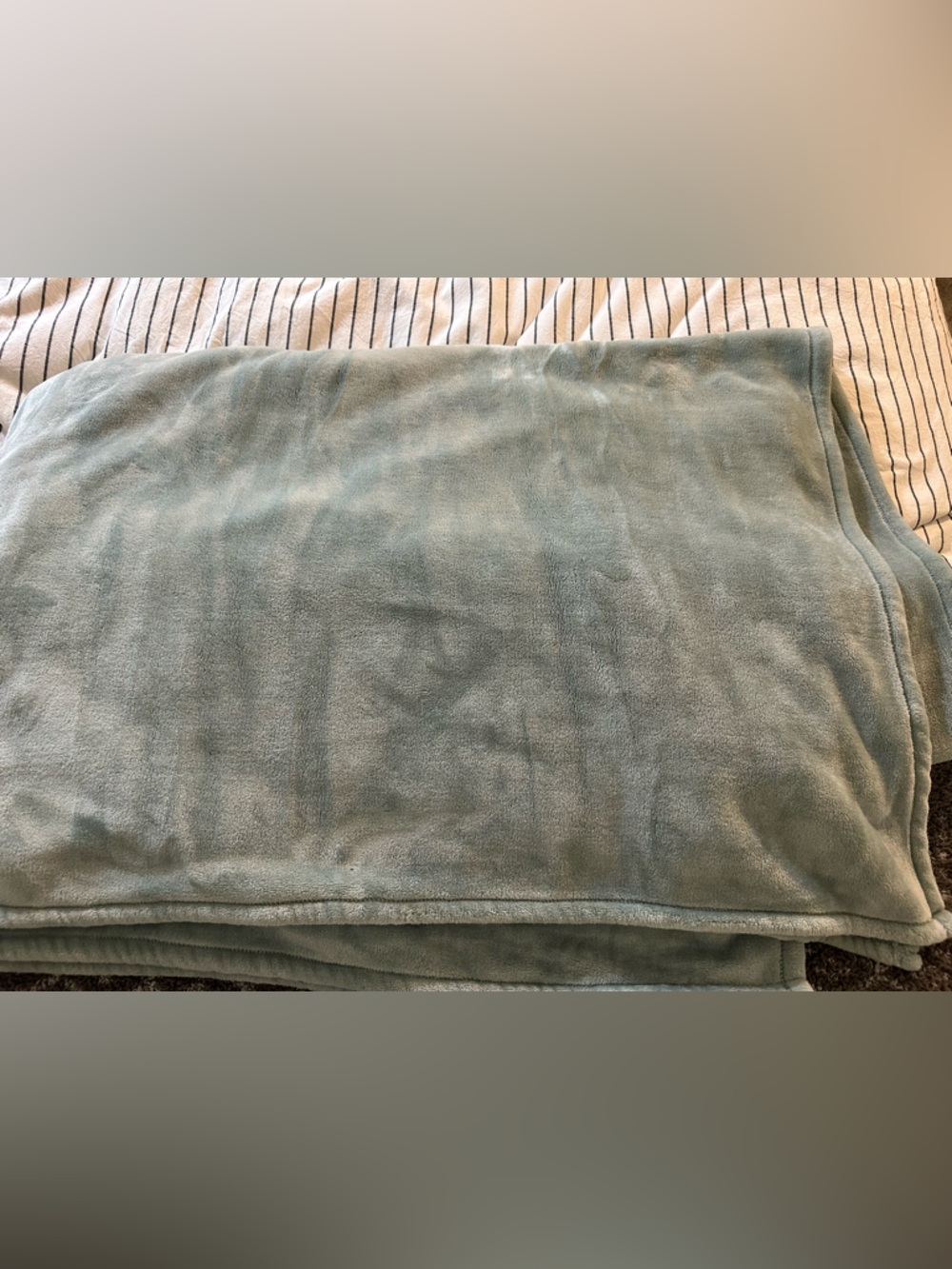 Calvin Klein Plush Twin Blanket in Sage Green